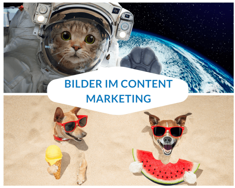 Bilder Im Content Marketing Nutze Die Kraft Der Bilder