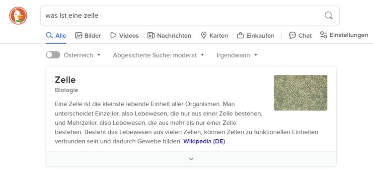 Infobox in DuckDuckGo