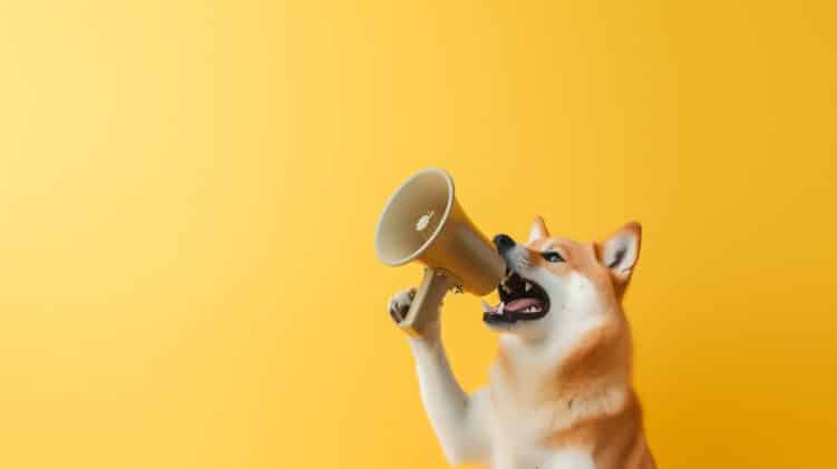 Ein Hund ruft wichtige TikTok-SEO-Rankingfaktoren durch ein Megafon.